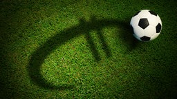 Ein Fußball liegt auf auf einem Stück Rasen, auf dem ein Euro-Zeichen als Schatten zu sehen ist. © fotolia/thaiview 