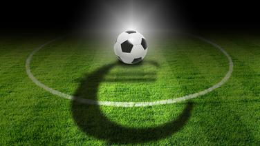Ein Fußball liegt auf auf einem Stück Rasen, auf dem ein Euro-Zeichen als Schatten zu sehen ist. © fotolia/jarma 